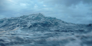 Training on the real job - Seegang